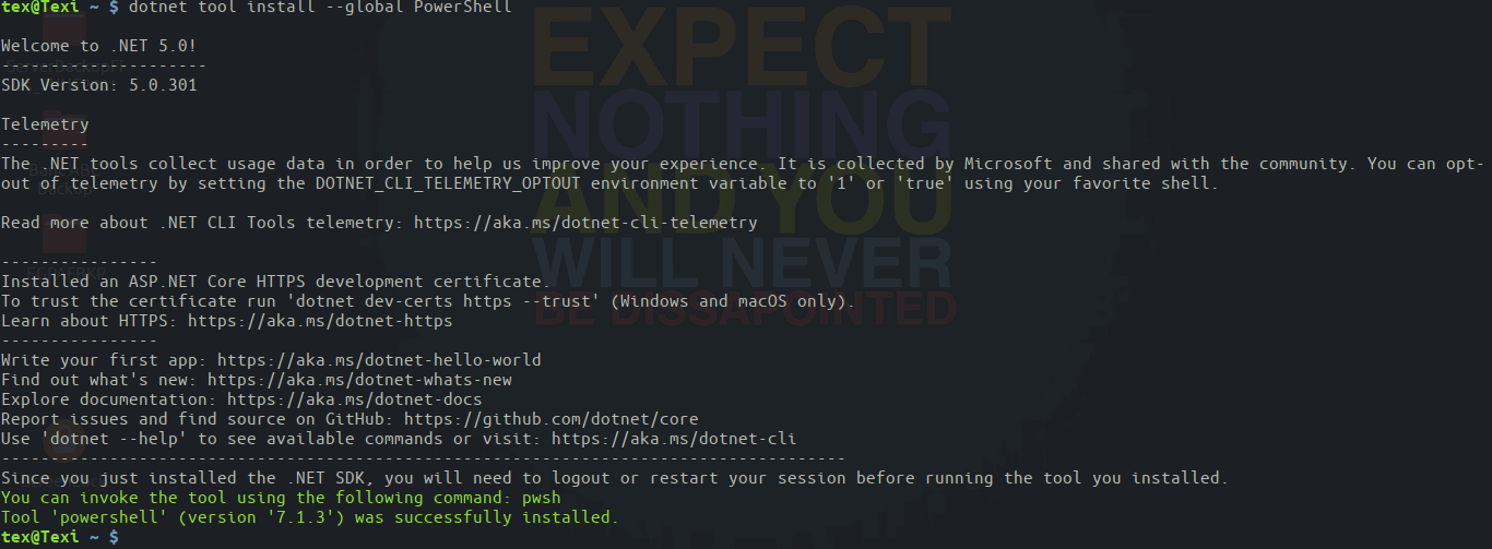 Installing PowerShell via the .Net SDK