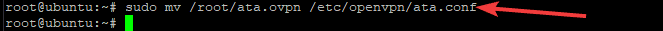 Moving and renaming the OpenVPN configuration file.