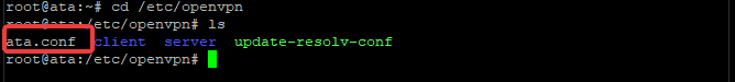 Showing files in the /etc/openvpn directory