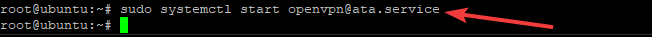 Starting the OpenVPN service.