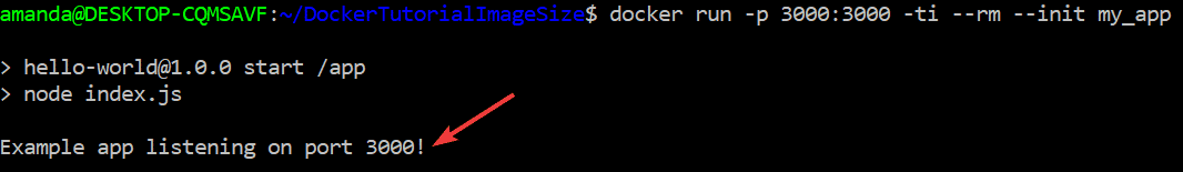 The output after creating the Docker container