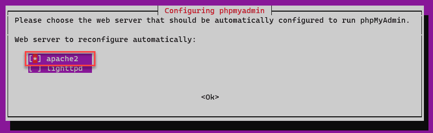 Selecting apache2 as the webserver