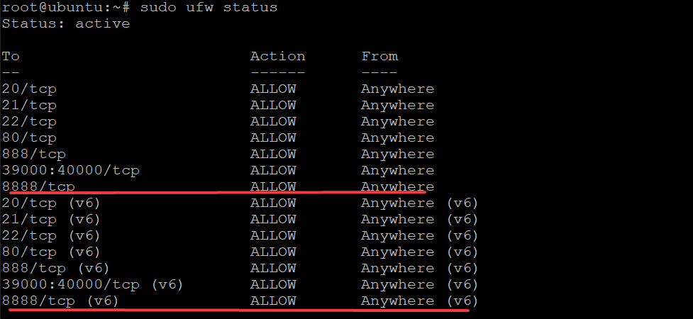 Checking firewall status 