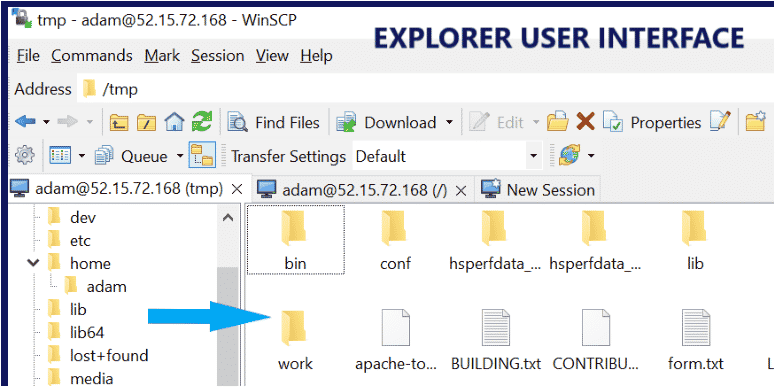 WinSCP Explorer Interface