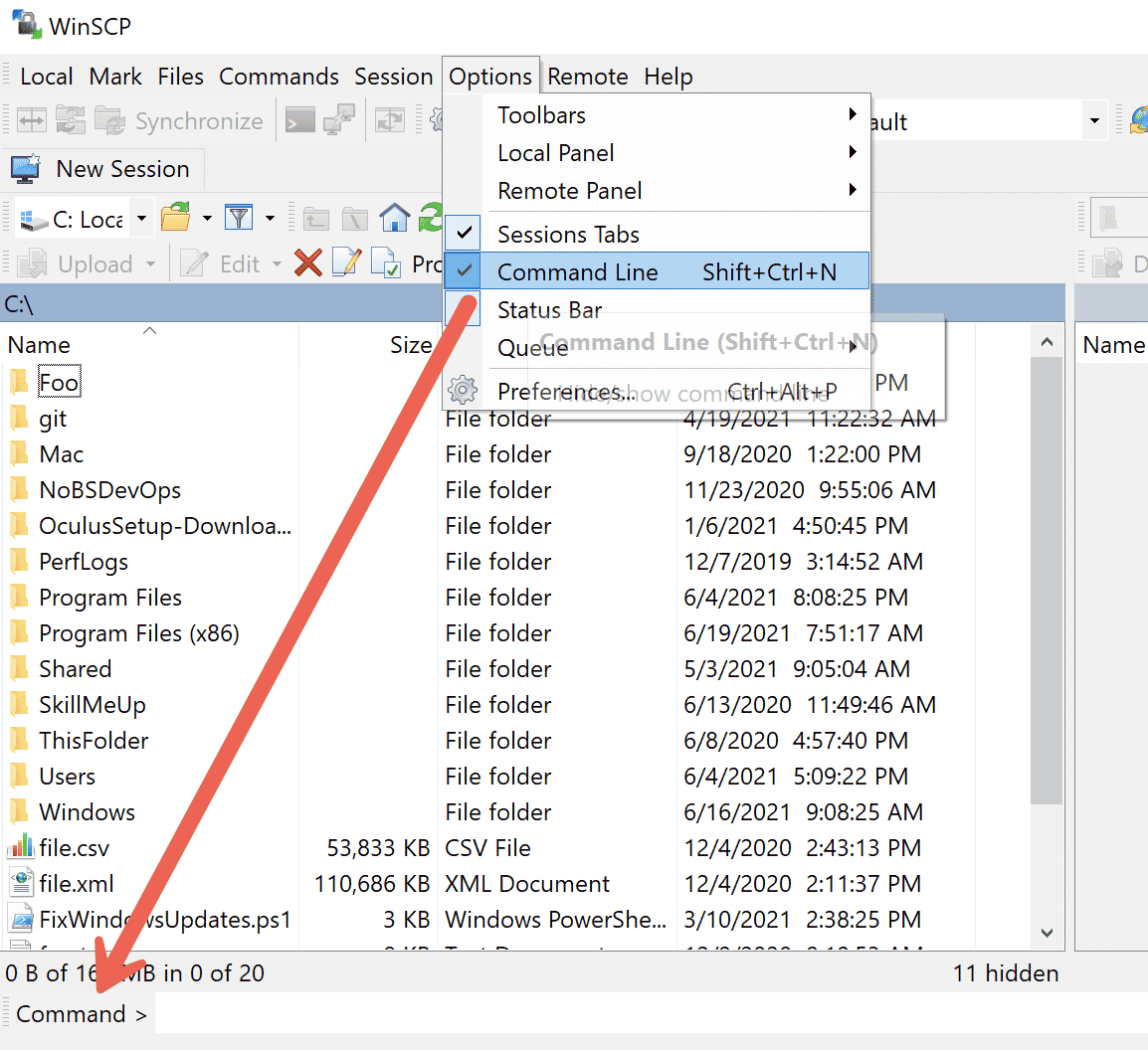 Running ifconfig command to find IP address using WinSCP command line