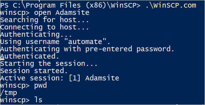 Running Commands Interactively using winscp.com