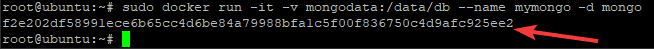 Deploying MongoDB Container