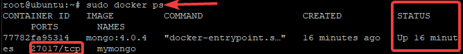 Checking Docker MongoDB Container Status
