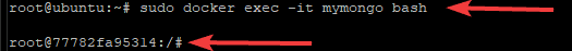 Attaching Docker MongoDB Container to Bash Shell