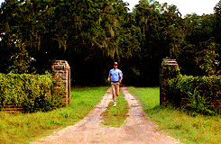run_forrest