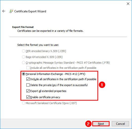 Lets Encrypt export certificate private key export file format