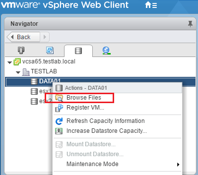 vmupload03 Four ways to upload files to VMware vSphere datastore